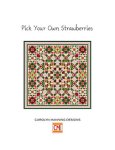 (image for) Pick Your Own Strawberries